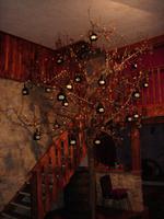 Bocksbeutelbaum auf dem musikalischen Weingut Runge