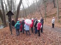 Wanderung im Selketal