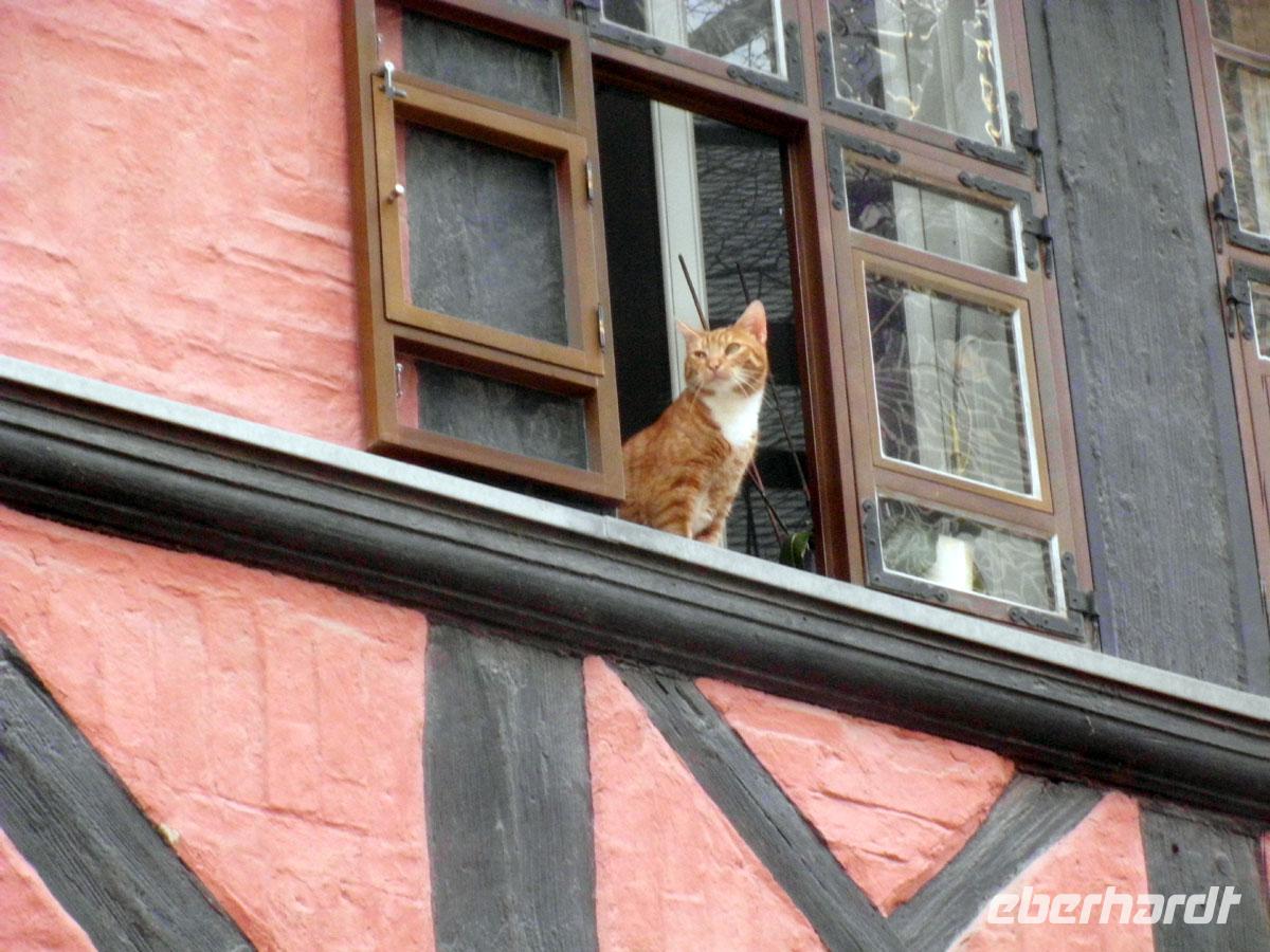 Fachwerk in Quedlinburg