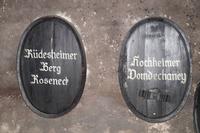 Der Wein im Weinberg 