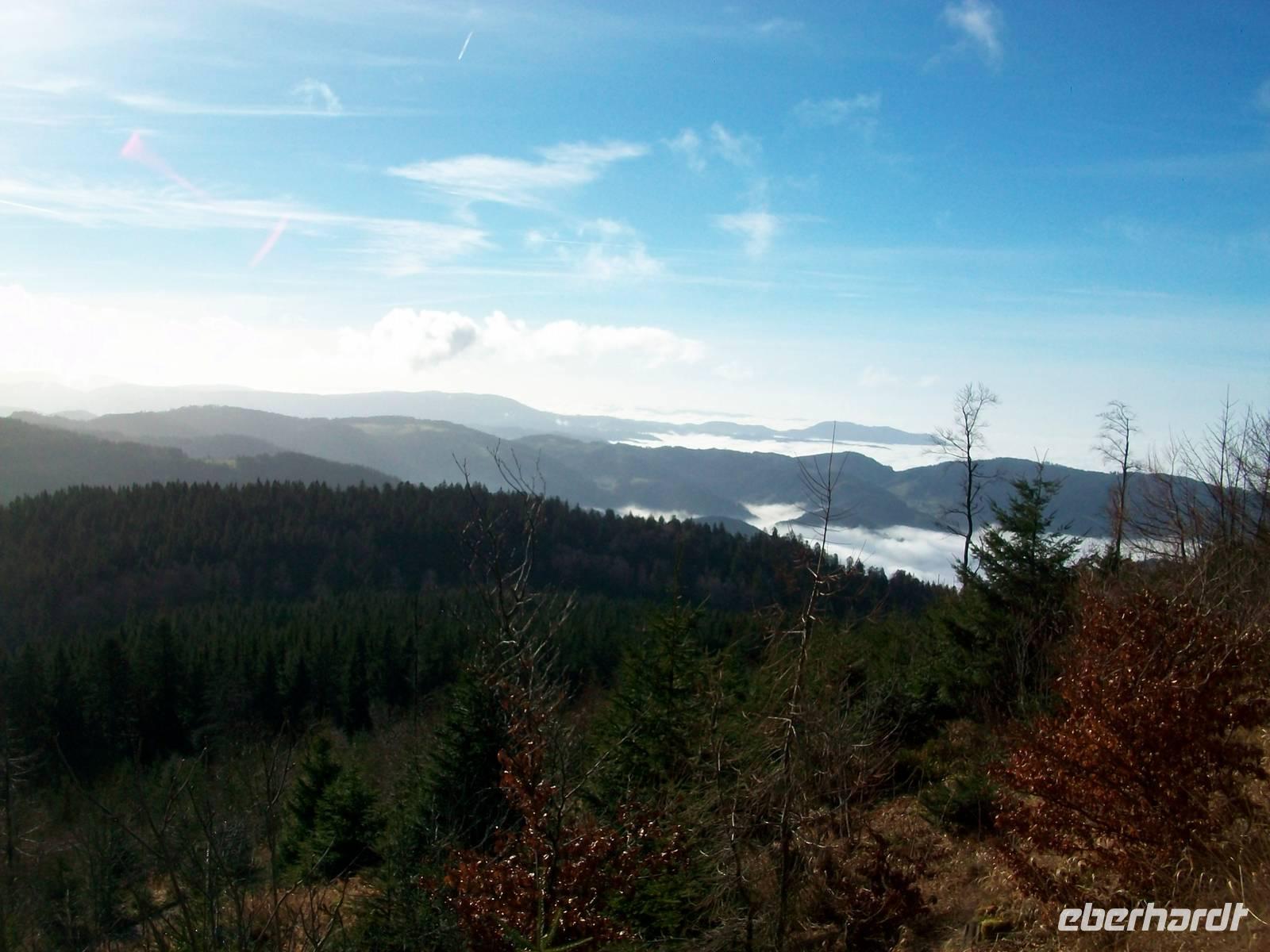Auf der Schwarzwaldhochstraße