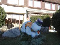 Gelände bei der Bastei, sächsische Schweiz