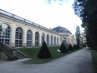 Orangerie im Schlosspark Pillnitz