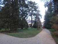 Schlosspark Pillnitz