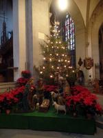 Weihnachtskrippe im Münster