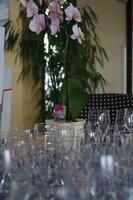 EHT_Neujahrsempfang_Dresden_Die Sektgläser stehen bereit