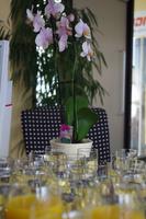 EHT_Neujahrsempfang_Dresden_Alles ist vorbereitet