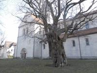 Kaiserdom zu Königslutter &ndash; &copy; Michael Krause (Eberhardt TRAVEL)