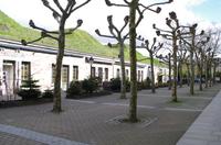 Stadtführung Saarlouis