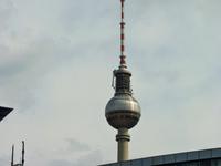 Telespargel oder Honnis Protzkeule