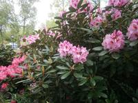 Den Besuchern bieten sich immer wieder schöne Motive