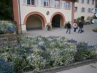 Im Schloßhof auf der Insel Mainau