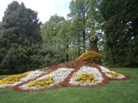 Ein Pfau, gestaltet aus vielen Blumen und Pflanzen 