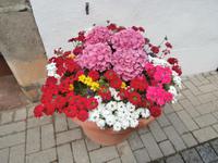 Schwiecheldthaus in Goslar