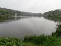 Hahnenklee- im Harz-Kranichsee