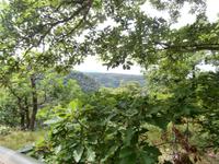 Thale am Hexentanzplatz-Blick zum Brocken