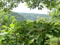 Thale am Hexentanzplatz-Blick zum Brocken