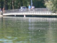 Wasserstand an der Fußgängerbrücke zur Insel