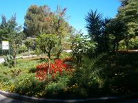 Es grünt und blüht auf Mainau