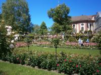 Blick auf die Schloßkirche