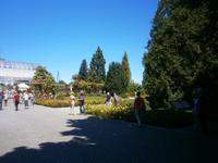 Blick auf den Rosengarten, im Hintergrund, das Palmenhaus 