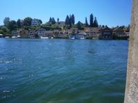 Blick über den Rhein auf die Insel Werd