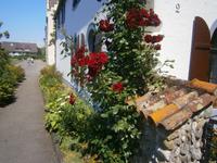 schöne Gestaltung an diesem Haus in Mittelzell