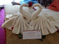 A-ROSA FLORA - Geburtstagsgruß