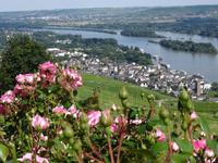 Niederwalddenkmal , Blick auf Rüdesheim