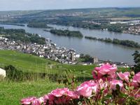 Niederwalddenkmal , Blick auf Rüdesheim