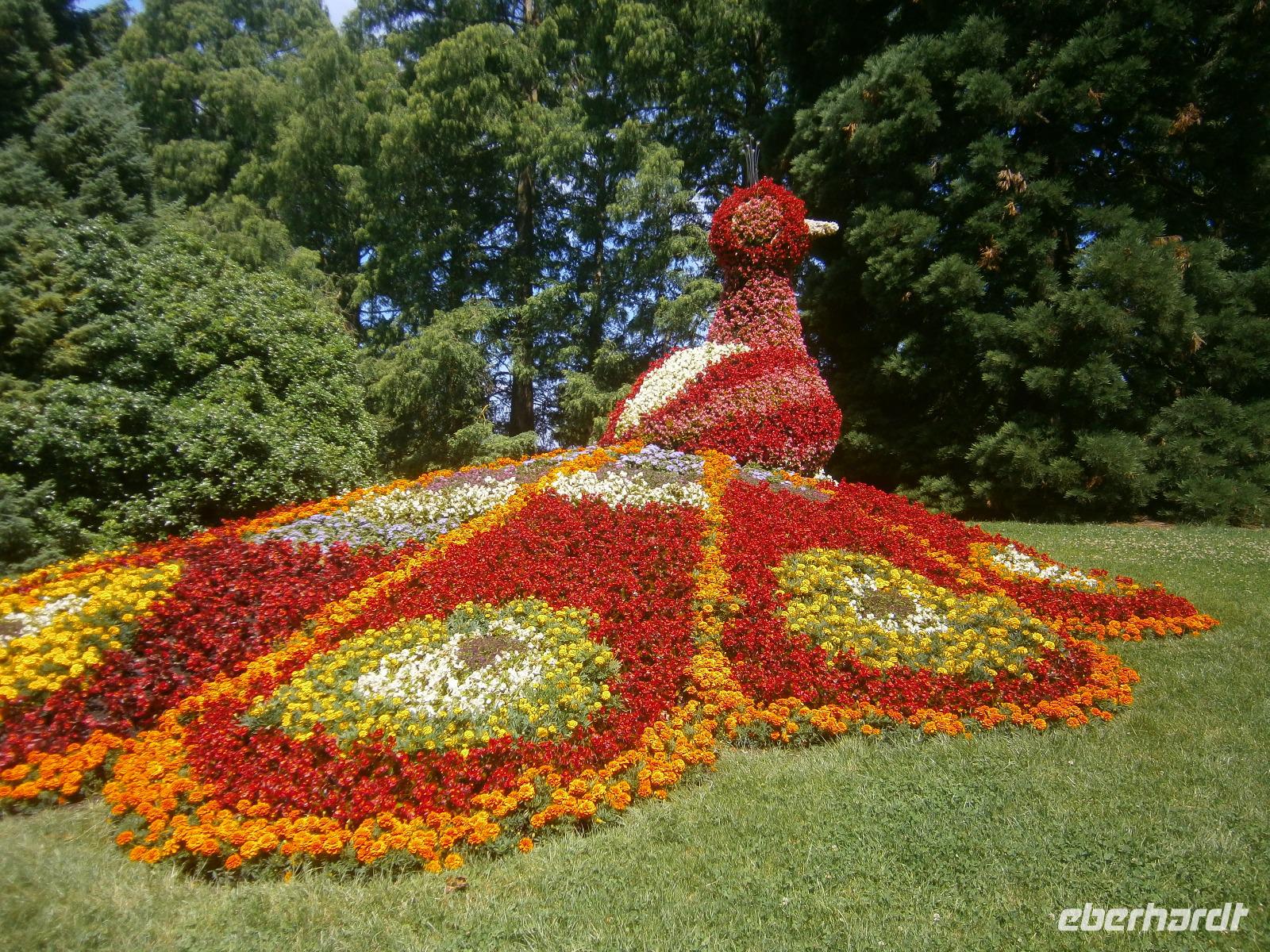 Ein schönes Symbol des Parks