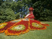 Ein schönes Symbol des Parks