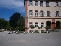 Die Zitrusbäume im Schloßhof