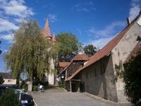 Blick zum Eingang der Peterskirche