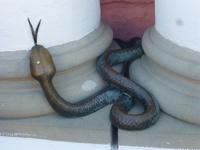 Rostock Eingang Rathaus