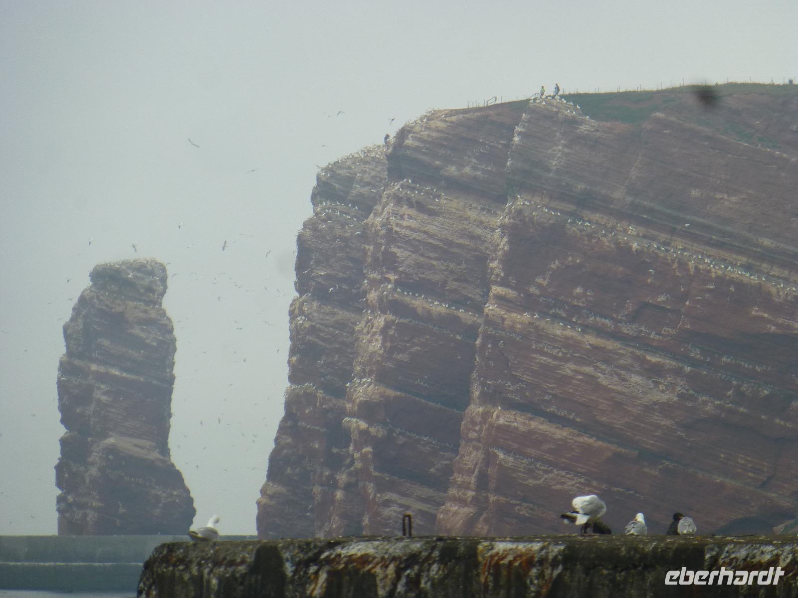 Helgoland Lange Anna