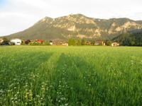 Abendlicher Spaziergang durch Inzell