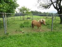 E-Bike Radtour der Eberhardt TRAVEL Gruppe im Juli 2016 durch das Chiemgau