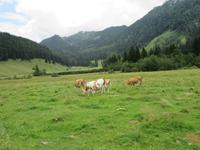 E-Bike Radtour der Eberhardt TRAVEL Gruppe im Juli 2016 durch das Chiemgau