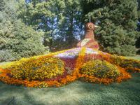 Insel Mainau, Pfau  aus Blumen