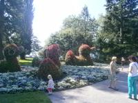 Eine Entenfamilie, ebenfalls aus Blumen