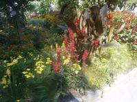 Sehenswerte Arrangements