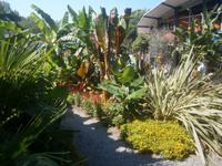 Außengestaltung beim Schmetterlingshaus