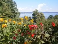 Blumenschmuck in der Nähe des Sees