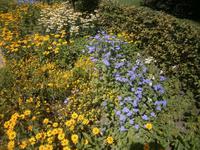 Eine günstige Jahreszeit zum Besuch der Insel
