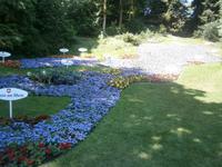 Der Bodensee, aus Blumen gestaltet 