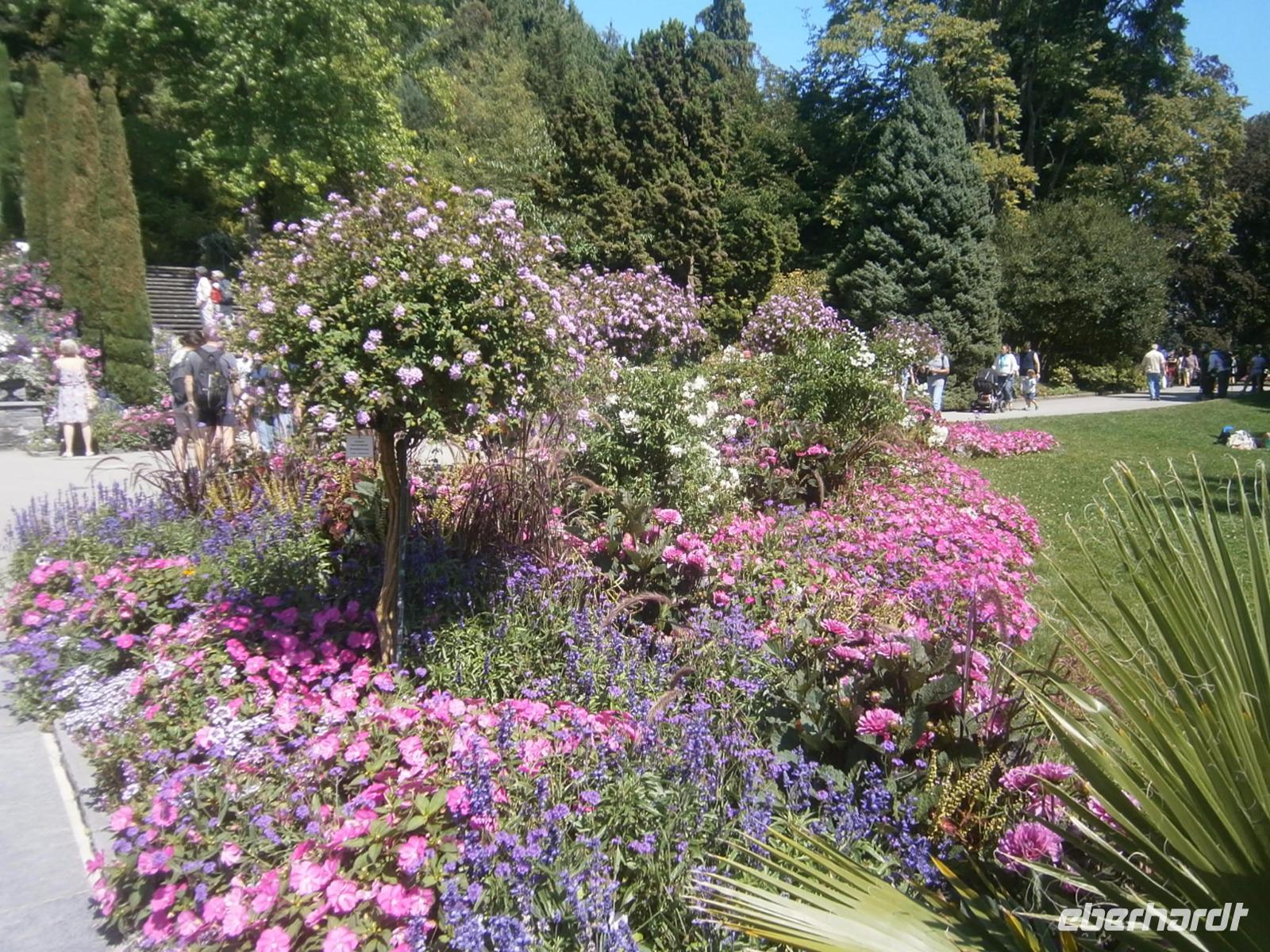 Auf dem Weg zum Parkplatz