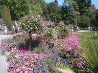 Auf dem Weg zum Parkplatz