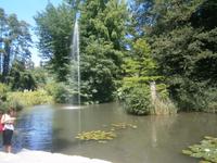 Eine kleine Fontäne