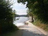 Der in Richtung Süden dahinfließende Rhein